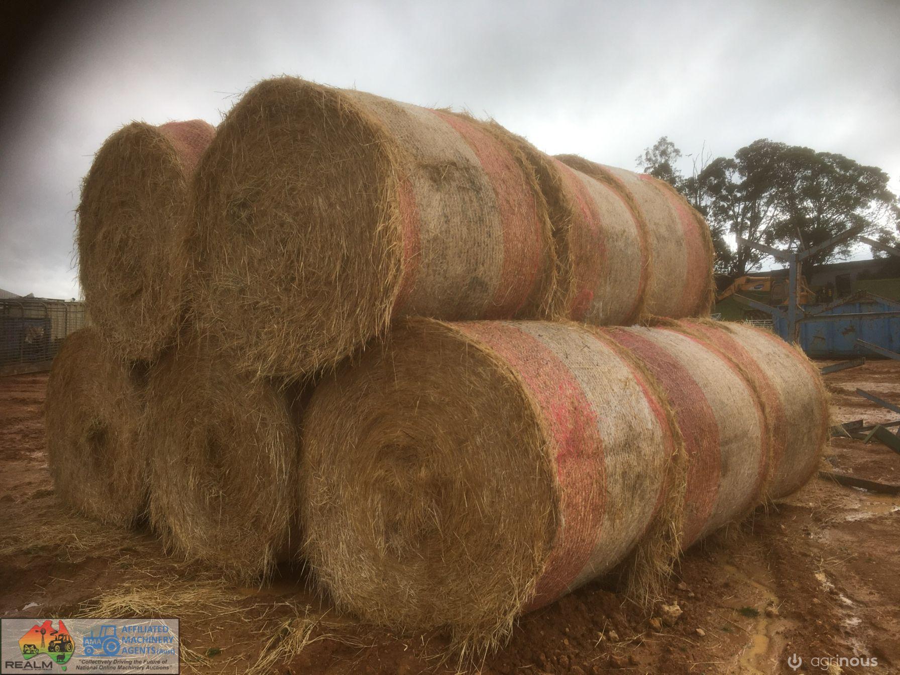 Rolls of Shedded Pasture Hay (Wirey Ck. SA) x70