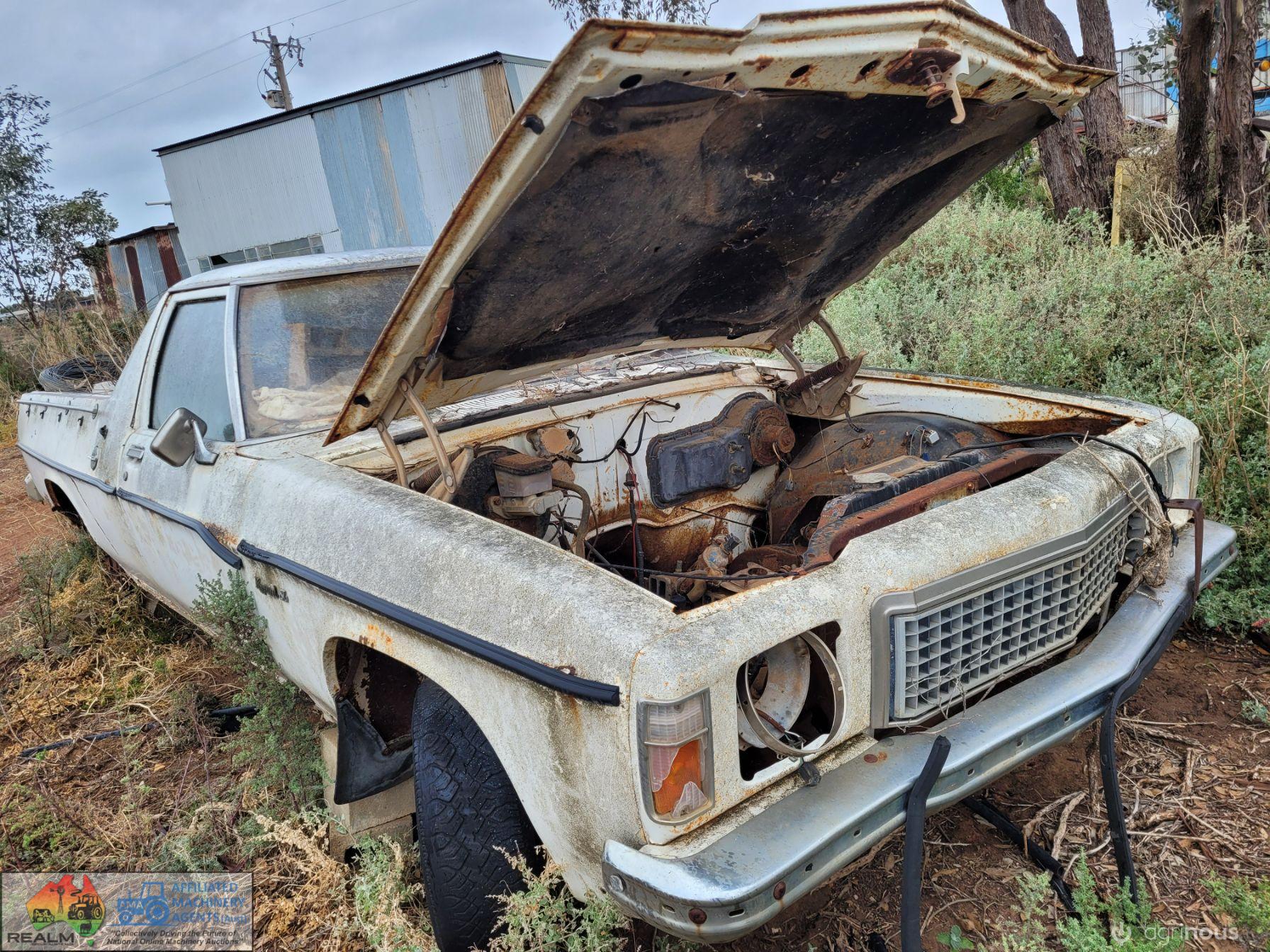 Holden Ute Body (Parts) - photo 2