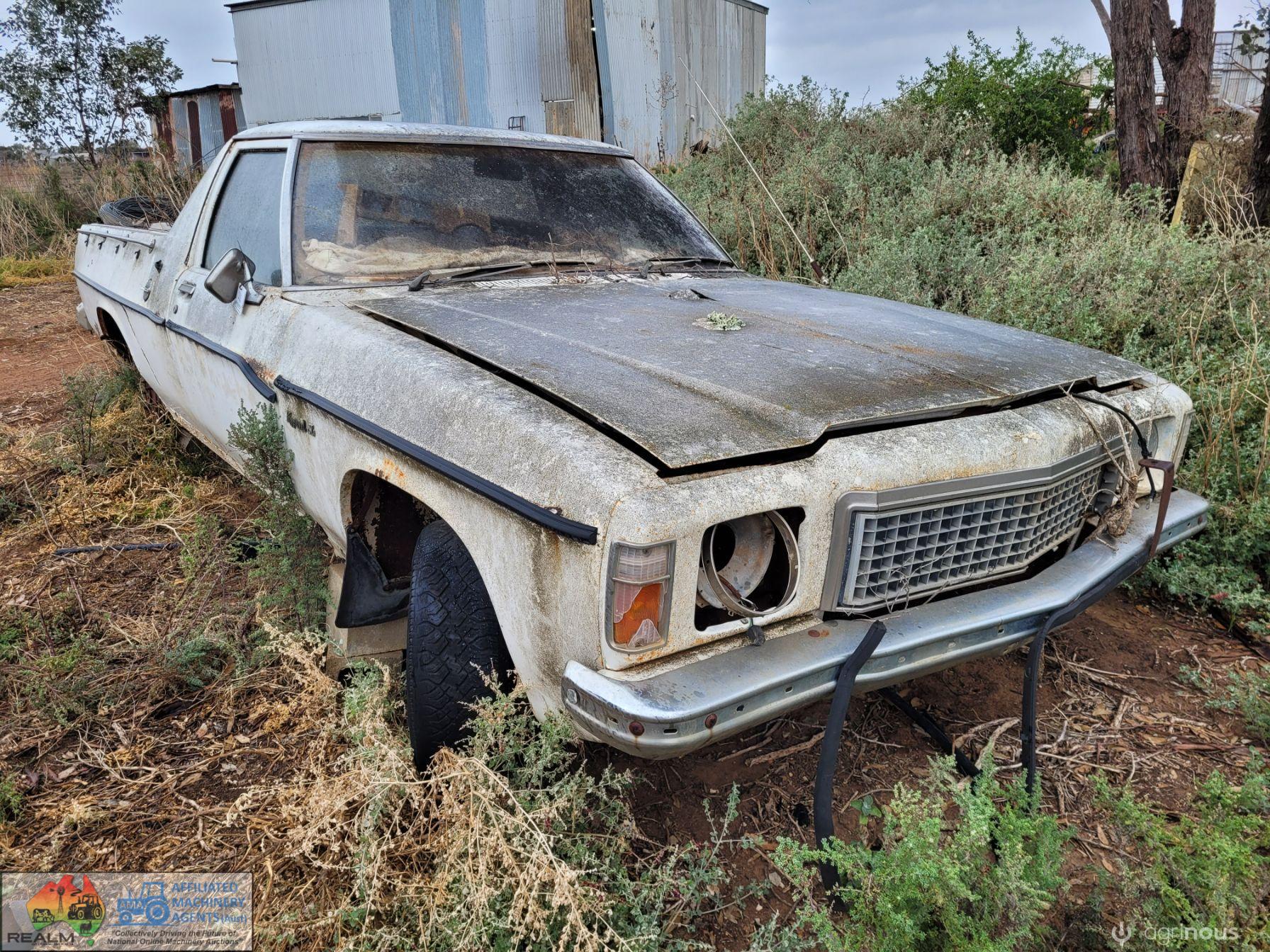 Holden Ute Body (Parts)