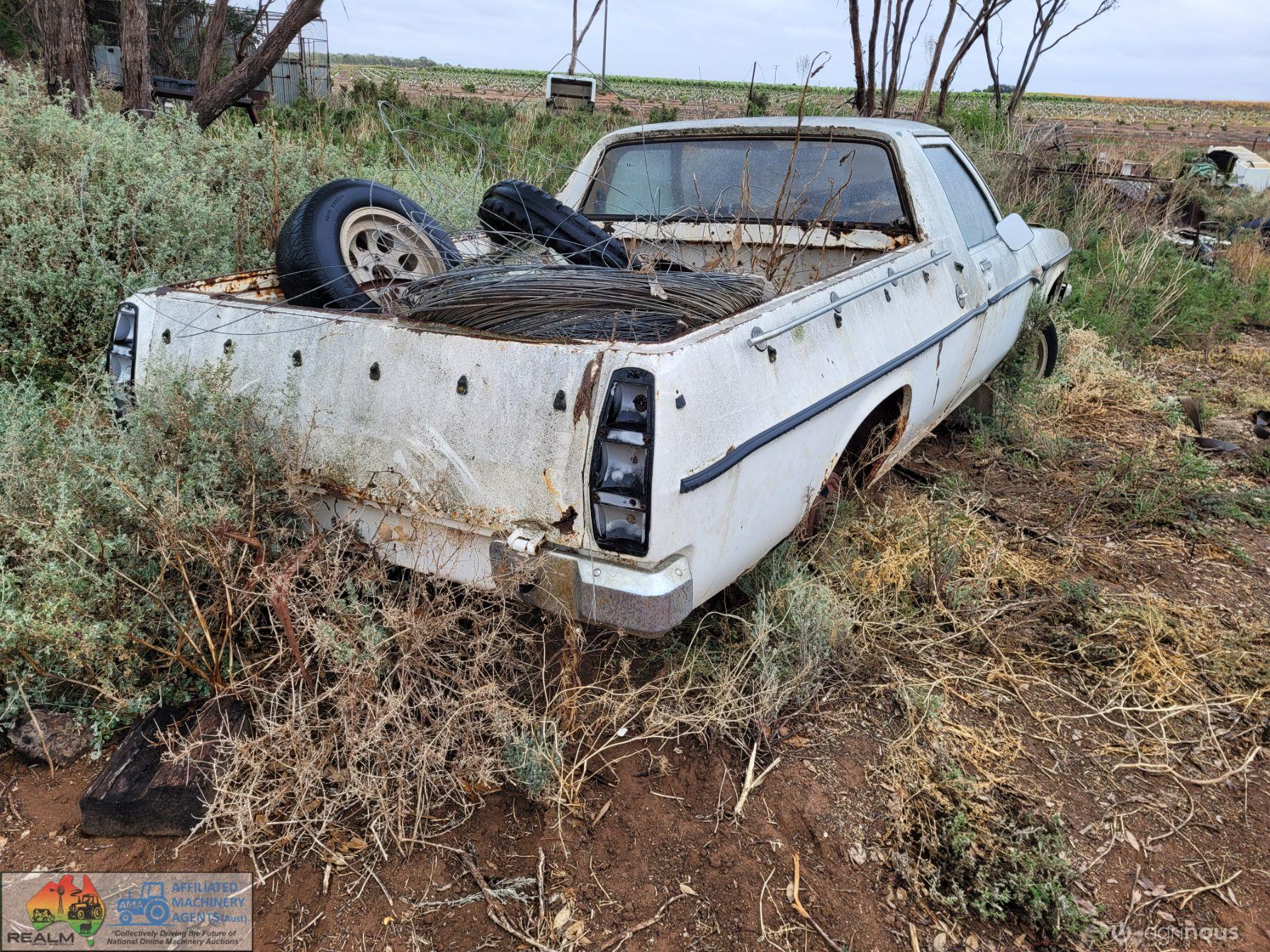 Holden Ute Body (Parts) - photo 4
