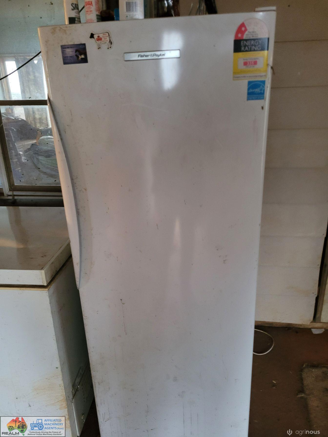 Fischer & Paykel Fridge (Working cond.)
