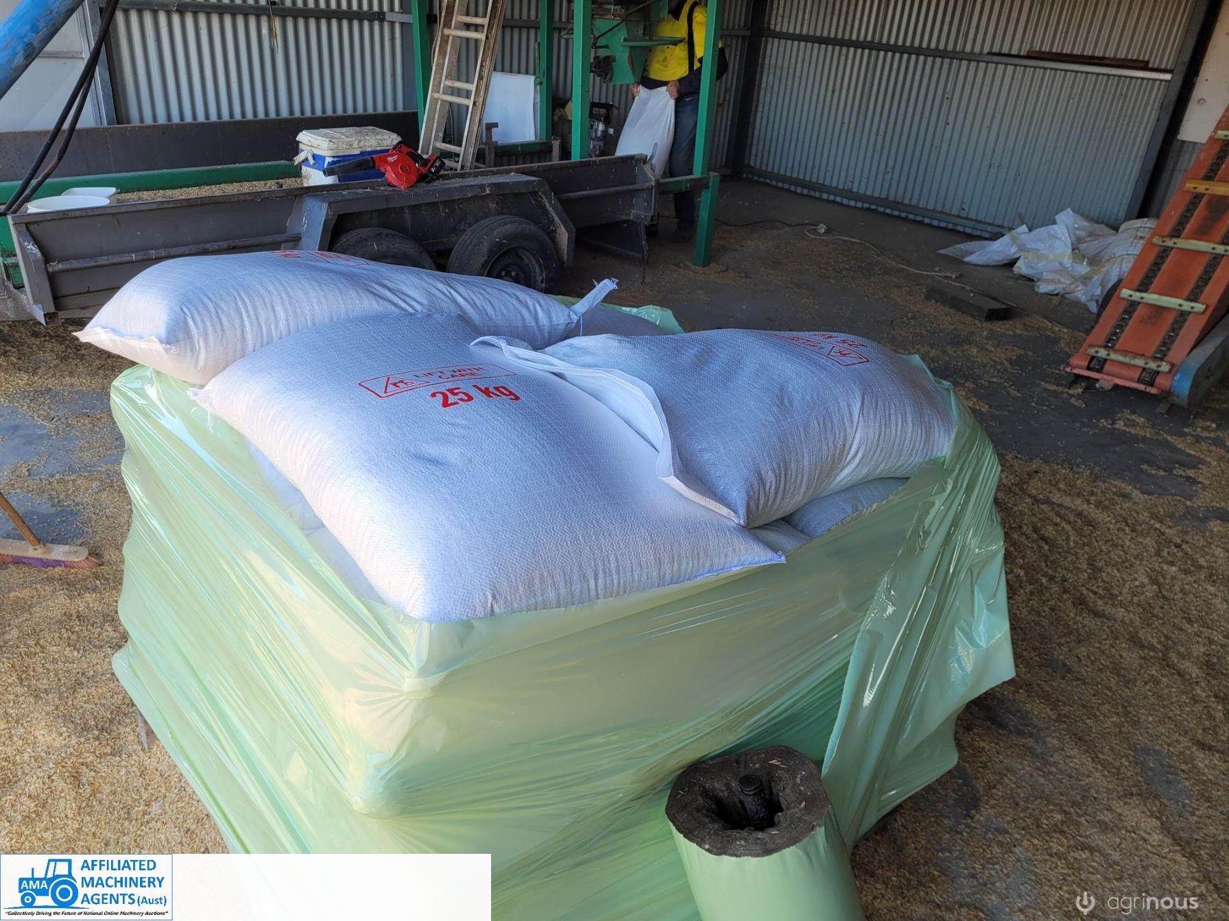 Organically Grown Yarram Seed Oats (23x 25Kg Bags)