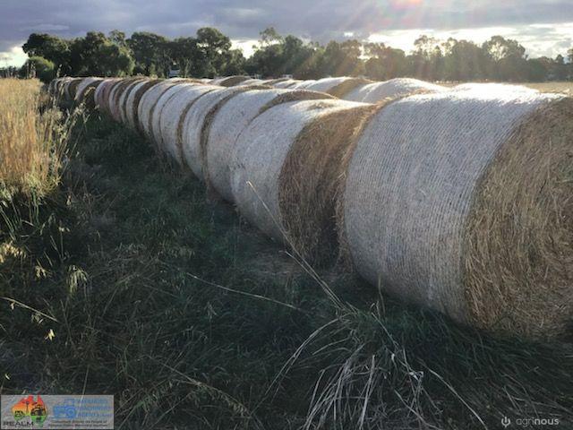 5x4 Rolls of Barley Hay (x52) - photo 2