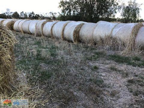 5x4 Rolls of Barley Hay (x52) - photo 6