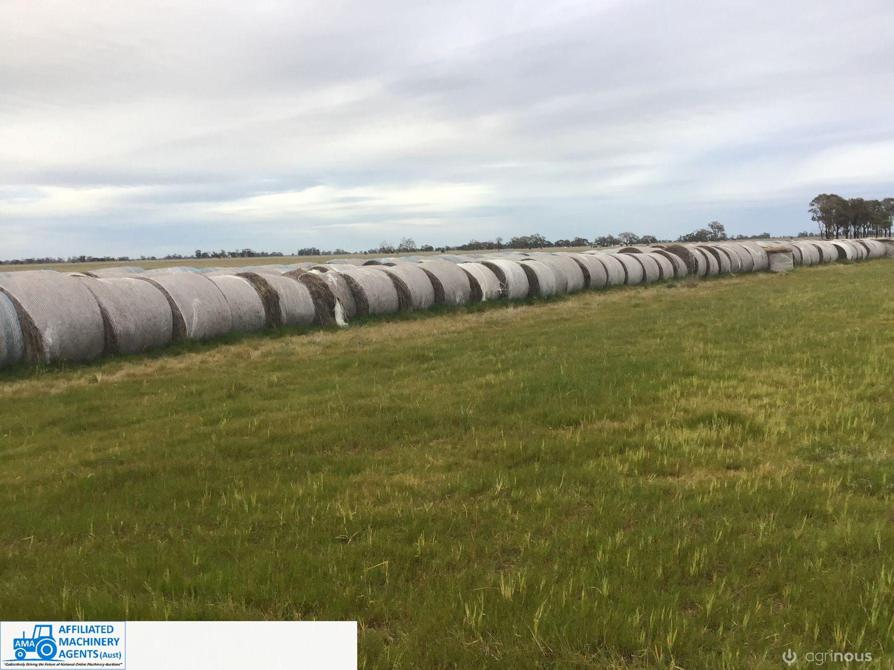 5x5 Rolls of Annual Rye & Native Pasture Hay (x40)