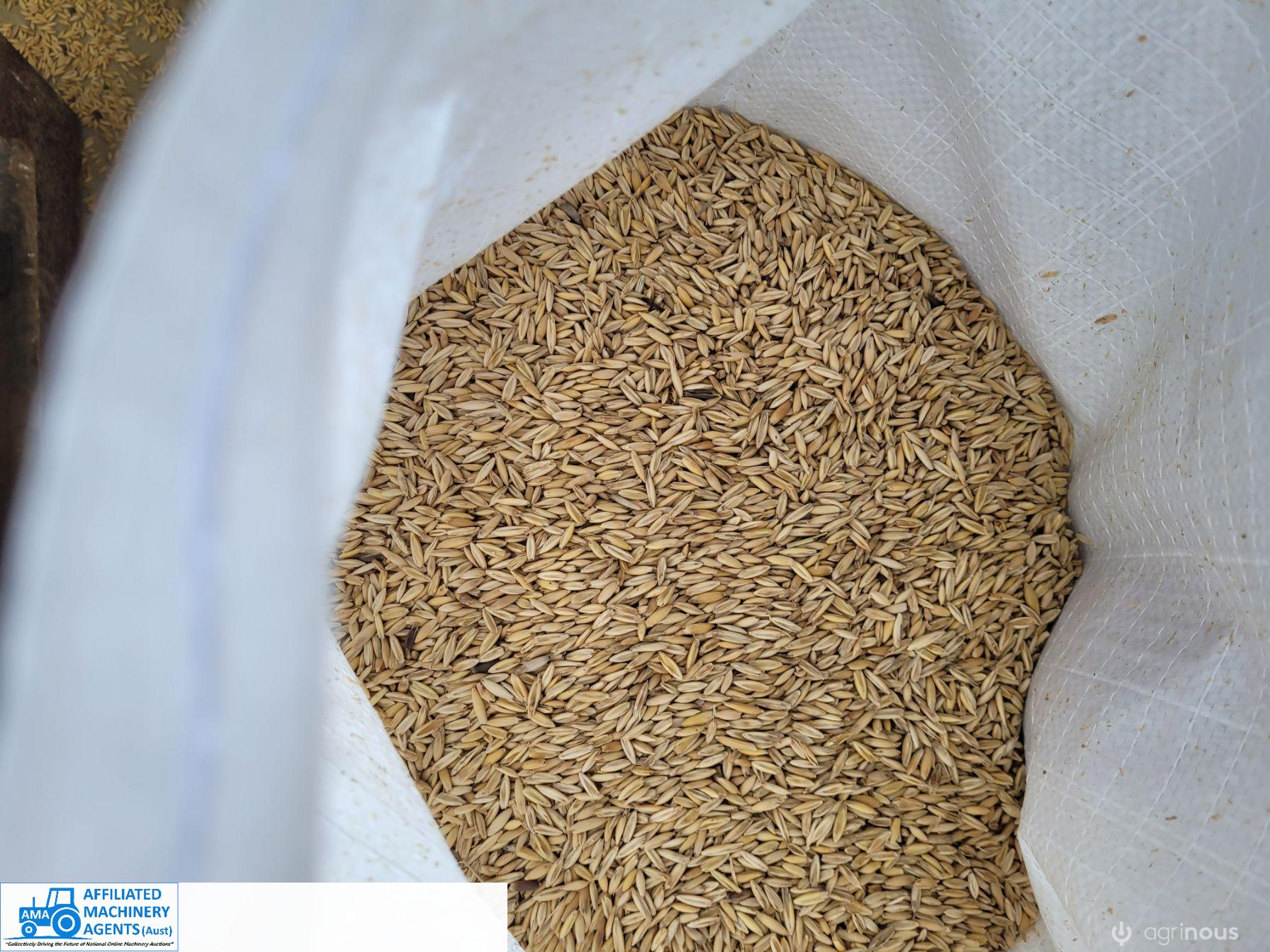 Winteroo Seed Oats (160 x 25Kg Bags) - photo 4
