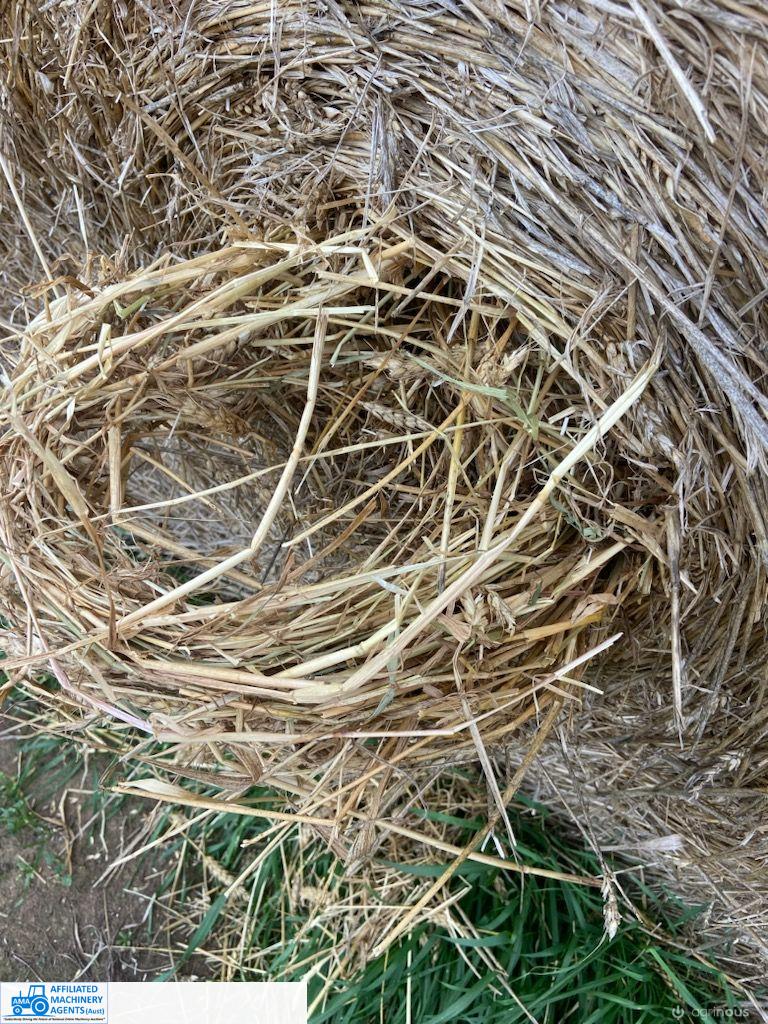 Rolls of Wheaten Hay (x44) - photo 3