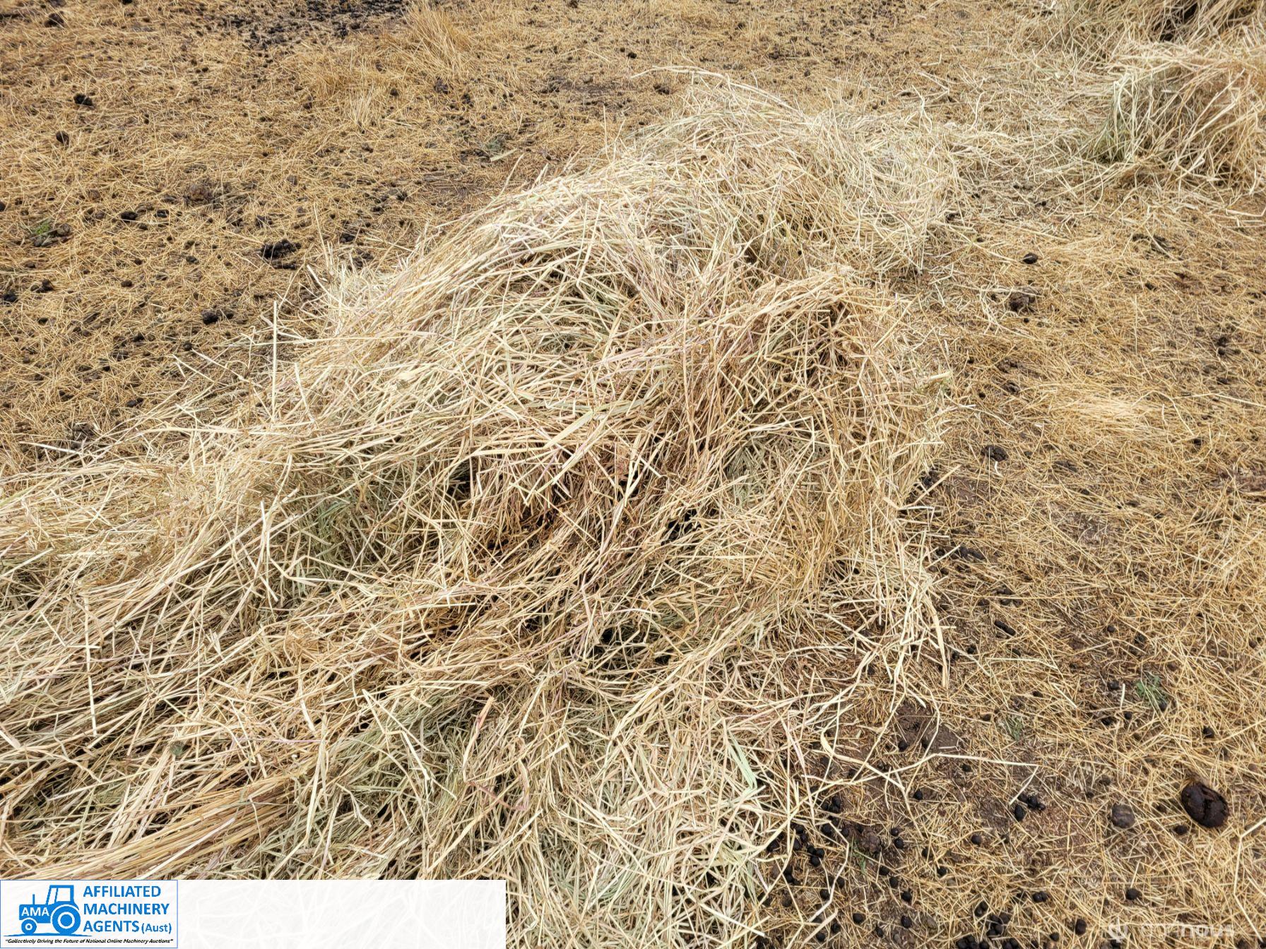52 Rolls of Pasture Hay (Euroa) - photo 8