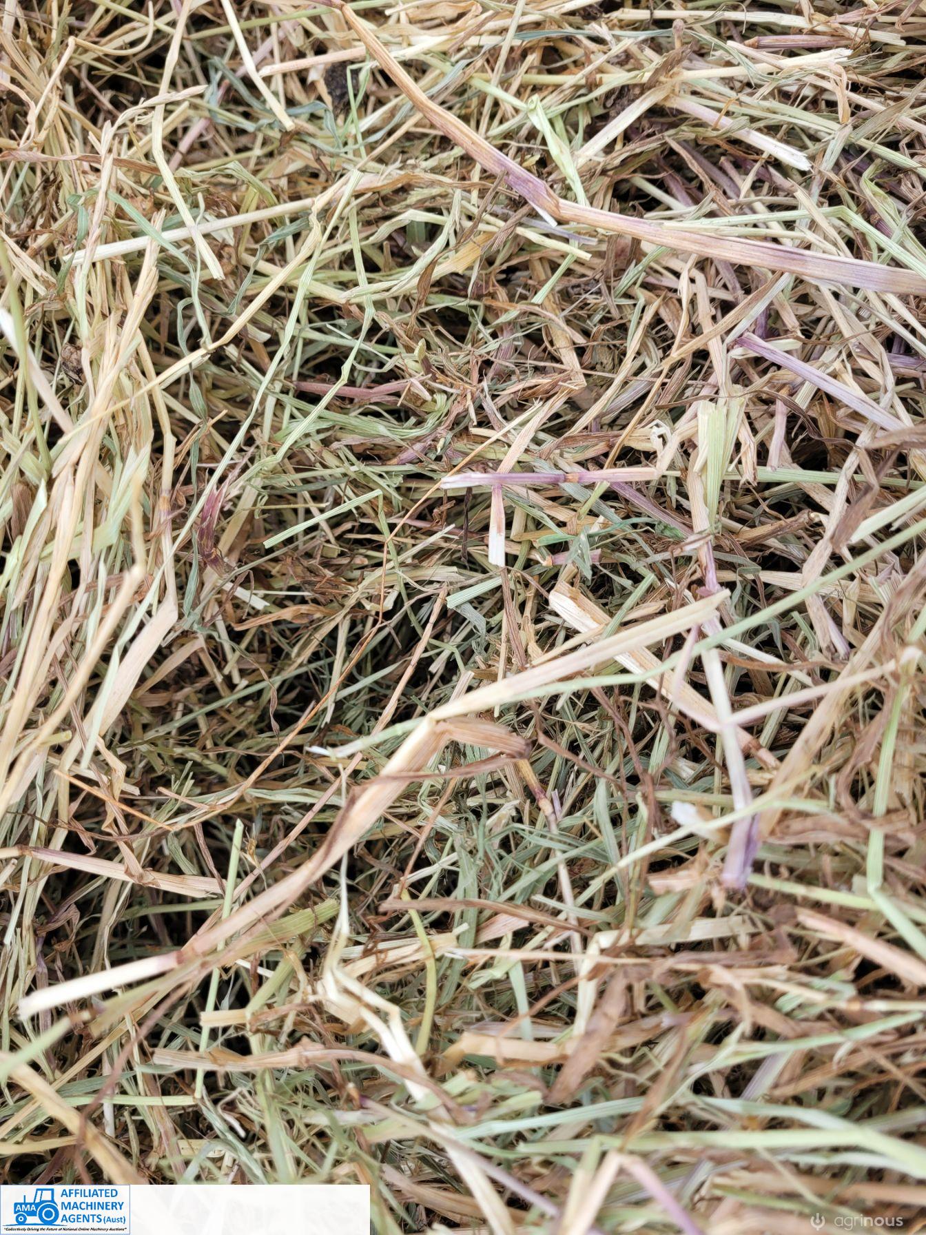 52 Rolls of Pasture Hay (Euroa) - photo 2