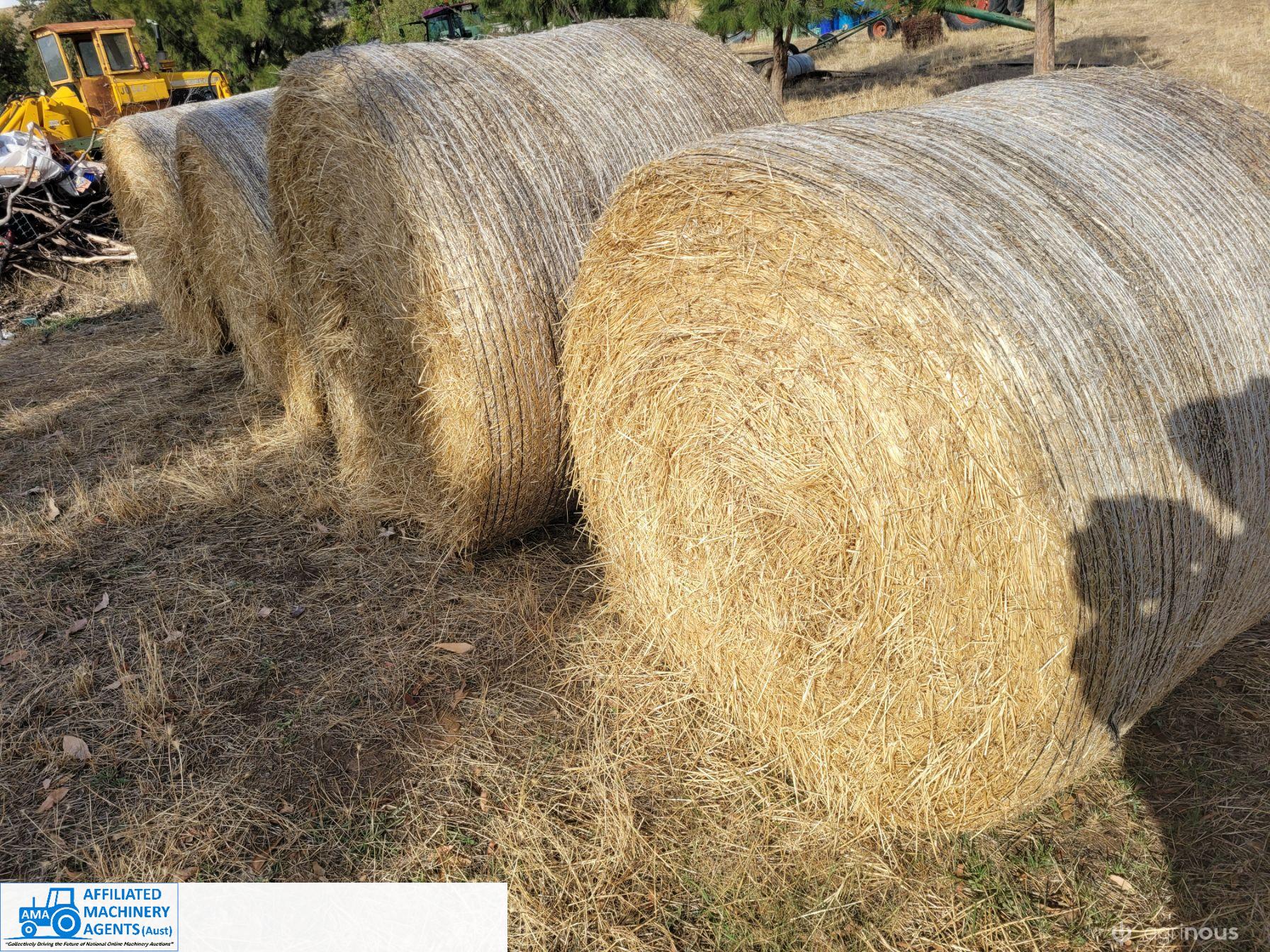 52 Rolls of Pasture Hay (Euroa) - photo 3