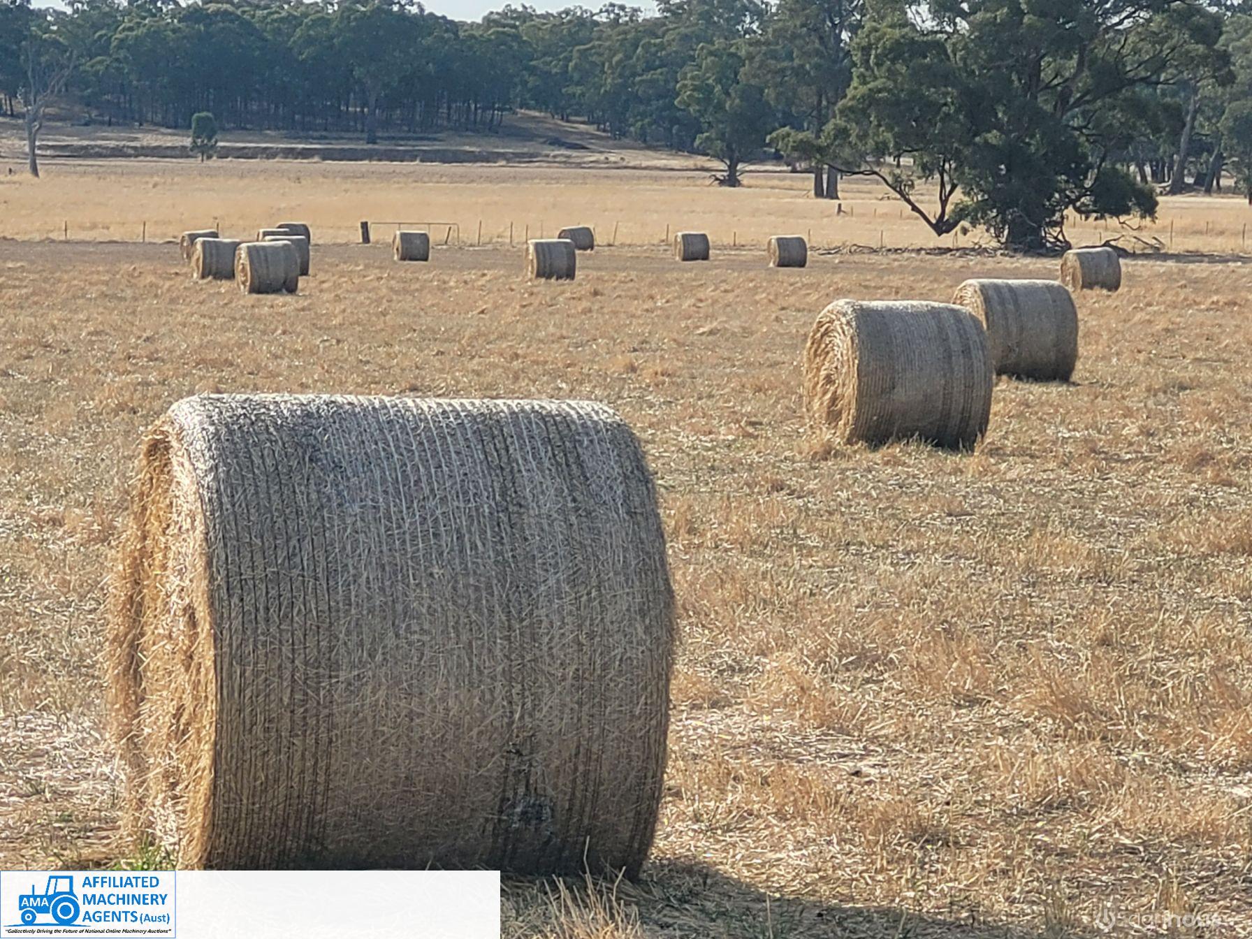 52 Rolls of Pasture Hay (Euroa) - photo 5