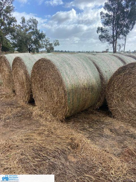 Rolls of Vetch Hay (x65)
