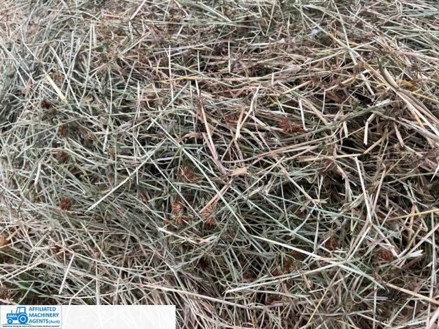 HAY - Lucerne / Clover /Rye - photo 4