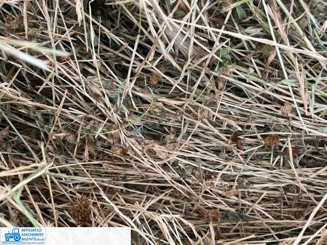 HAY - Lucerne / Clover /Rye - photo 5