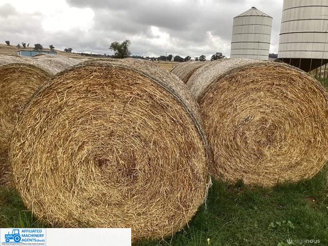 HAY - Lucerne / Clover /Rye - photo 3
