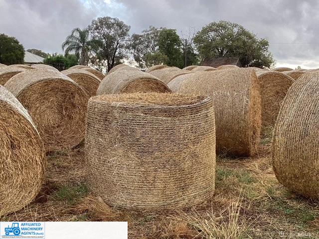 HAY - Lucerne / Clover /Rye - photo 2