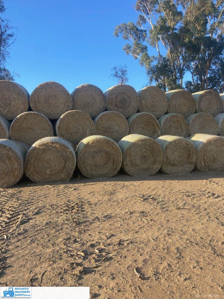 Good Quality Planet Barley Straw (x34 Rolls)