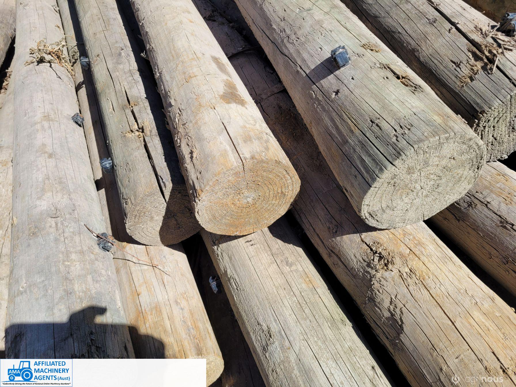 50x Pine Posts (No.1)