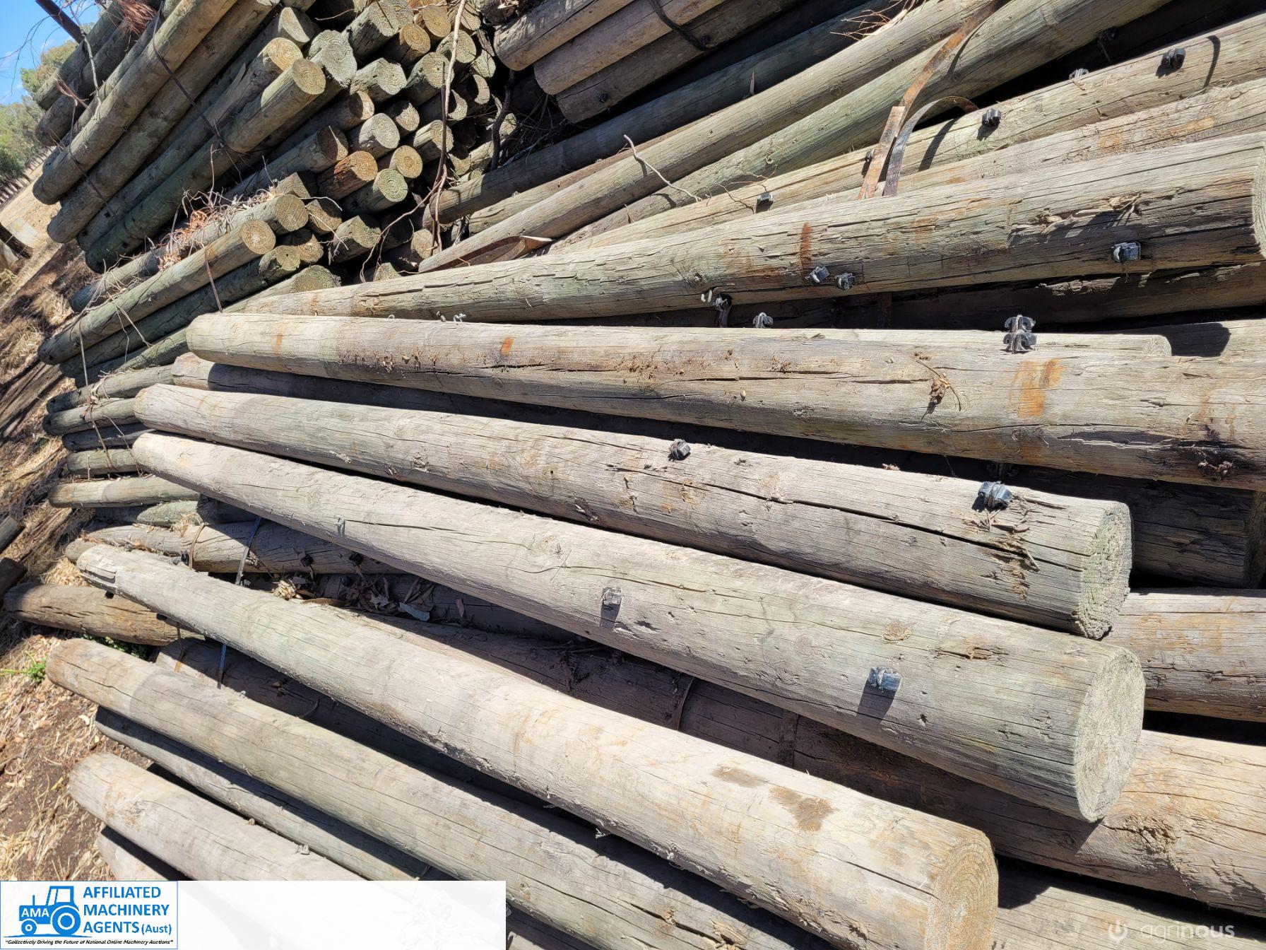 50x Pine Posts (No.1) - photo 2