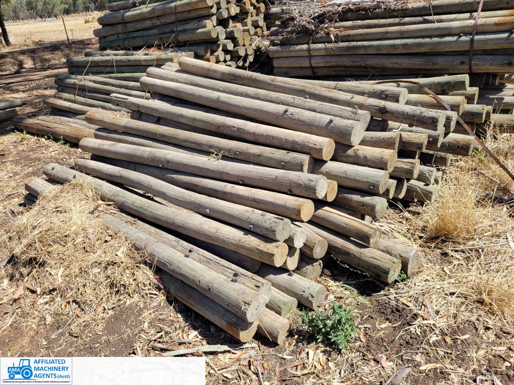 50x Pine Posts (No.1) - photo 4