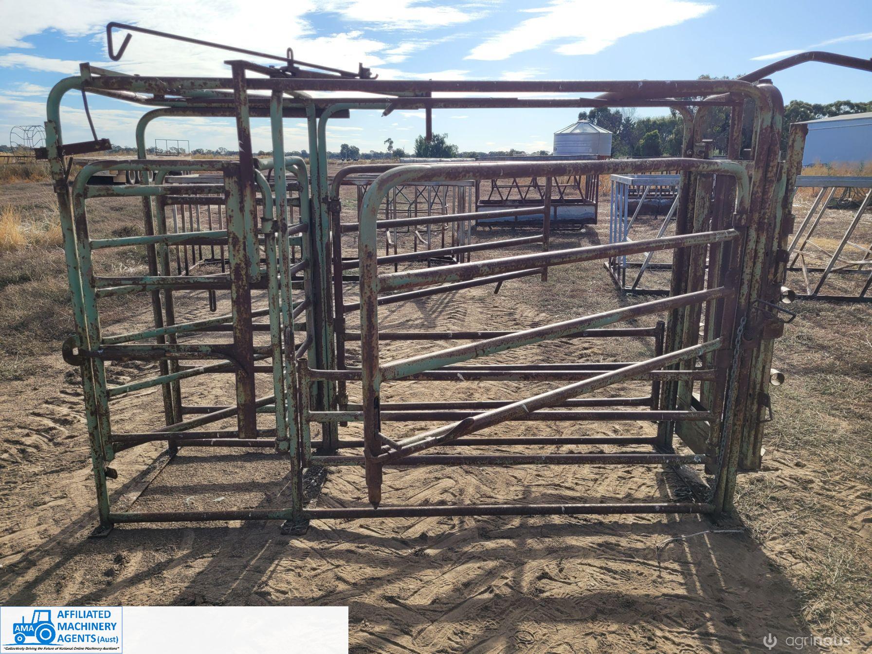 Solid Steel Cattle Crush