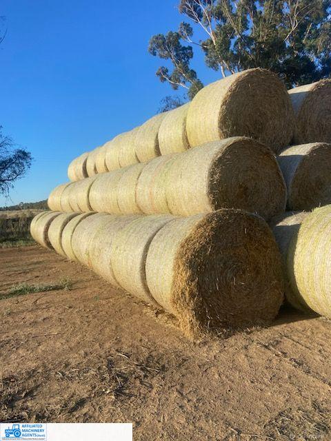Good Quality Planet Barley Straw (x50 Rolls)