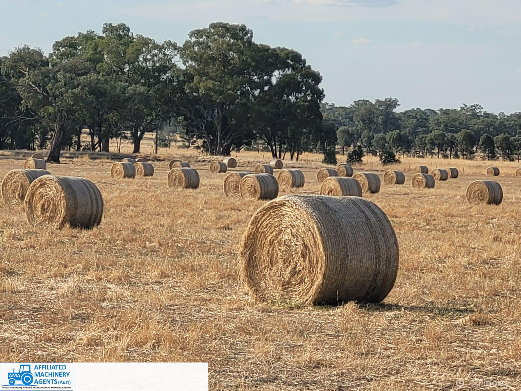 Quality Rolls of Sub Pasture Hay