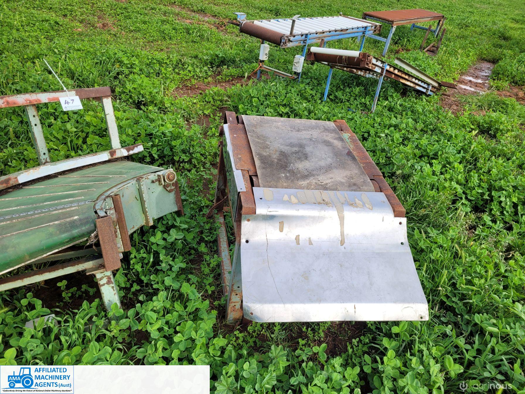 Tomato Box Conveyor System - photo 3