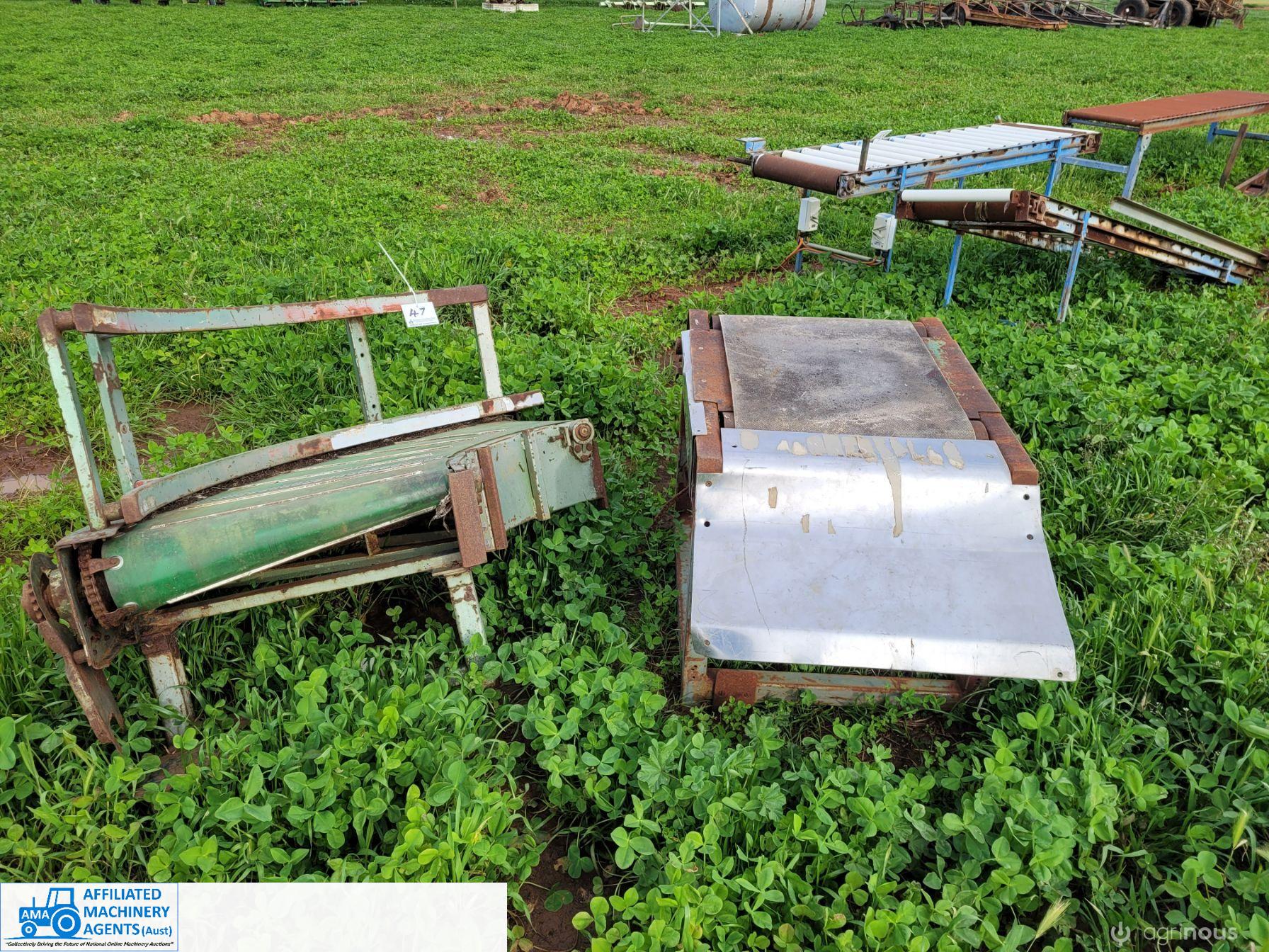 Tomato Box Conveyor System - photo 2