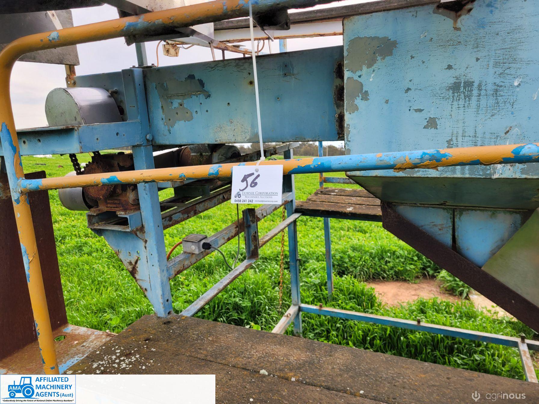 Tomato Sorting Table - photo 6