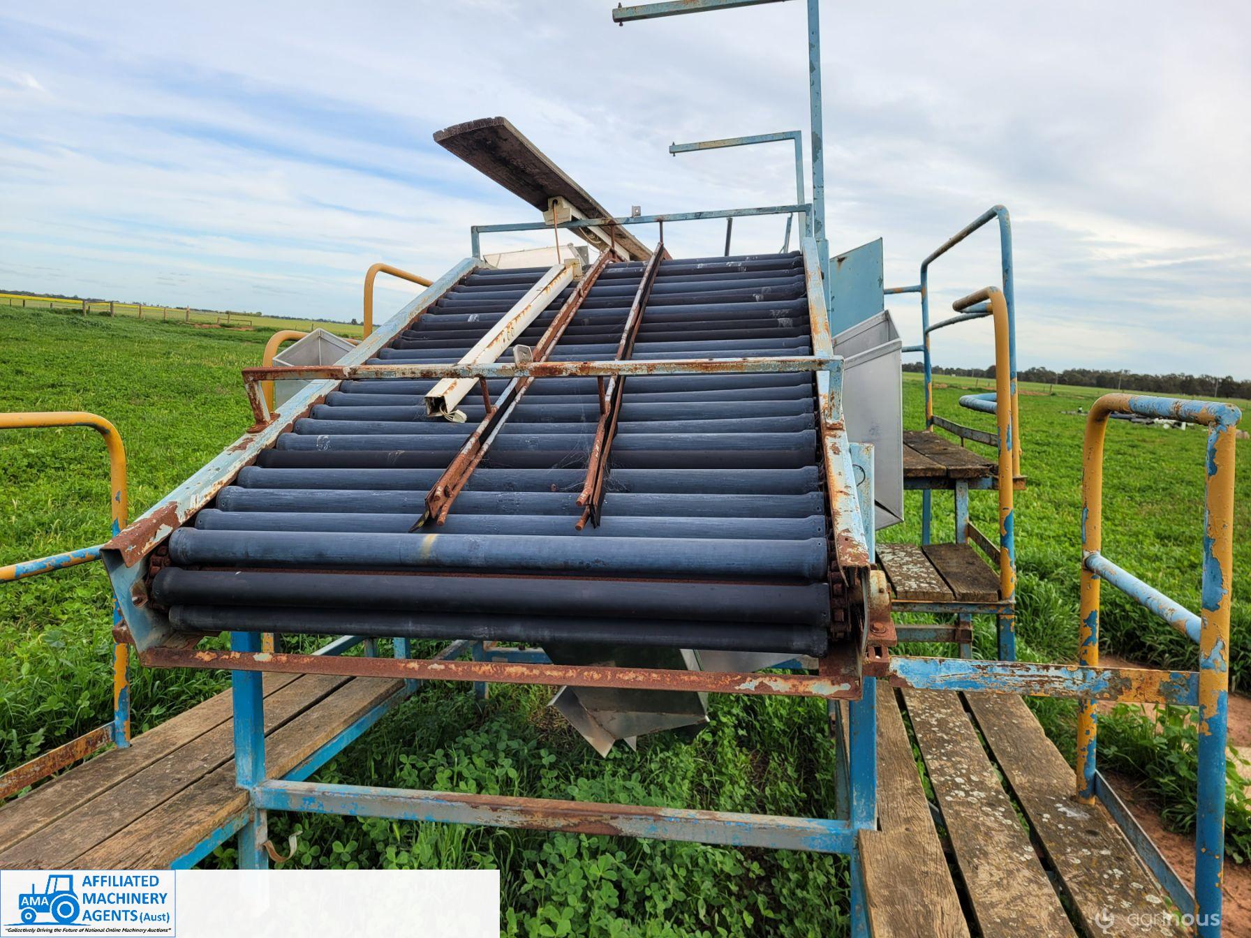 Tomato Sorting Table - photo 4