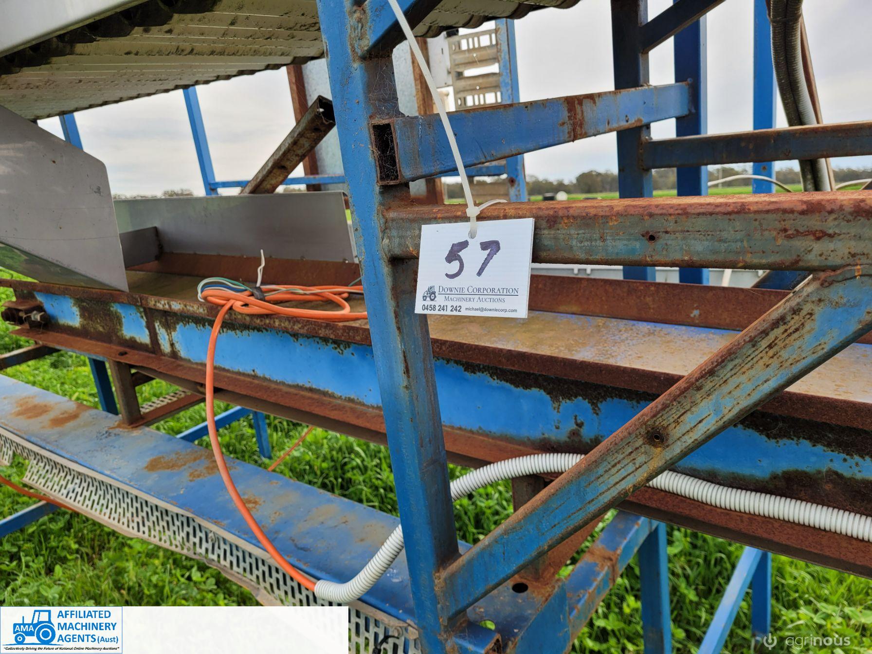 Small Tomato Sorting Table - photo 5