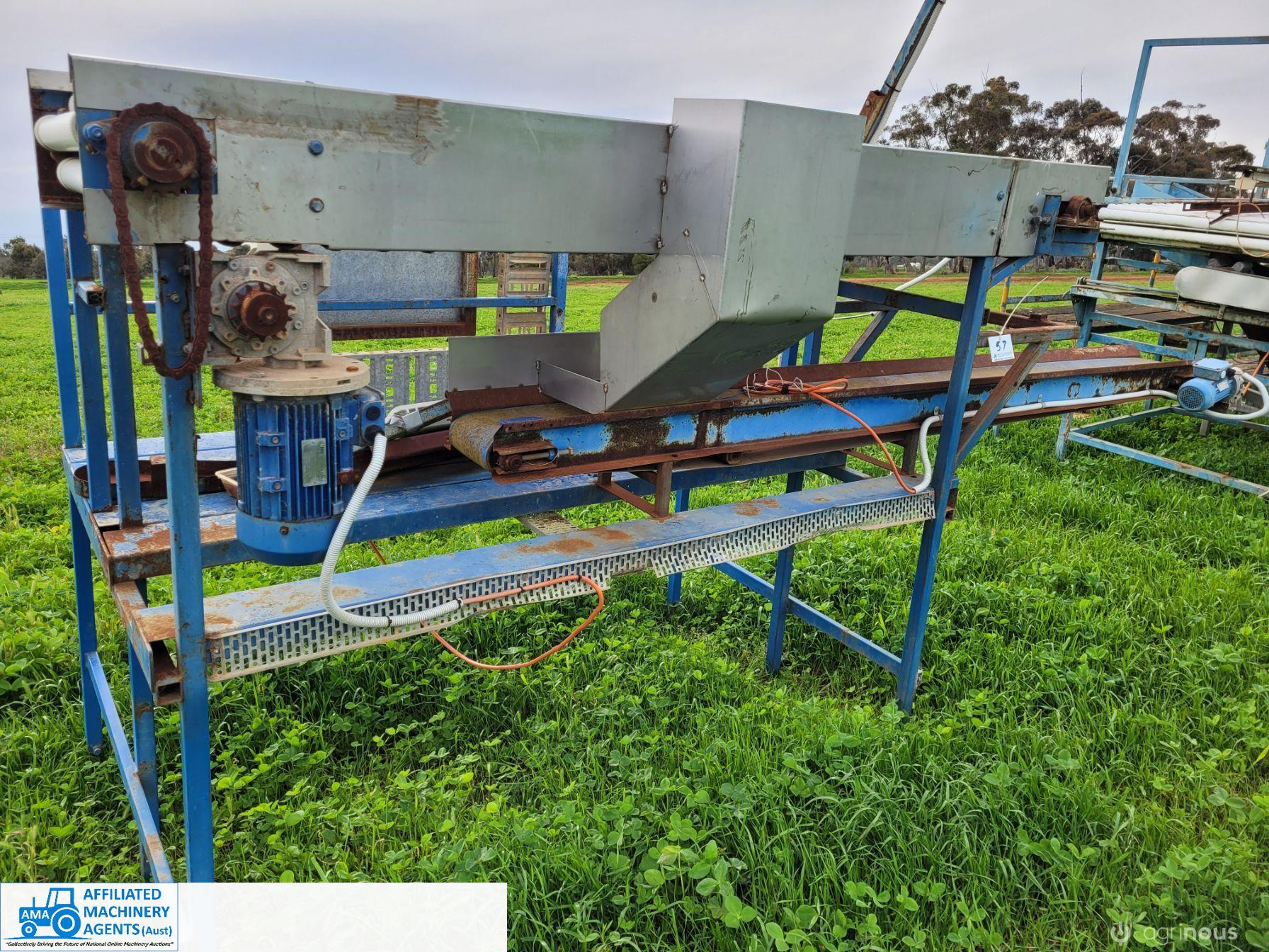 Small Tomato Sorting Table