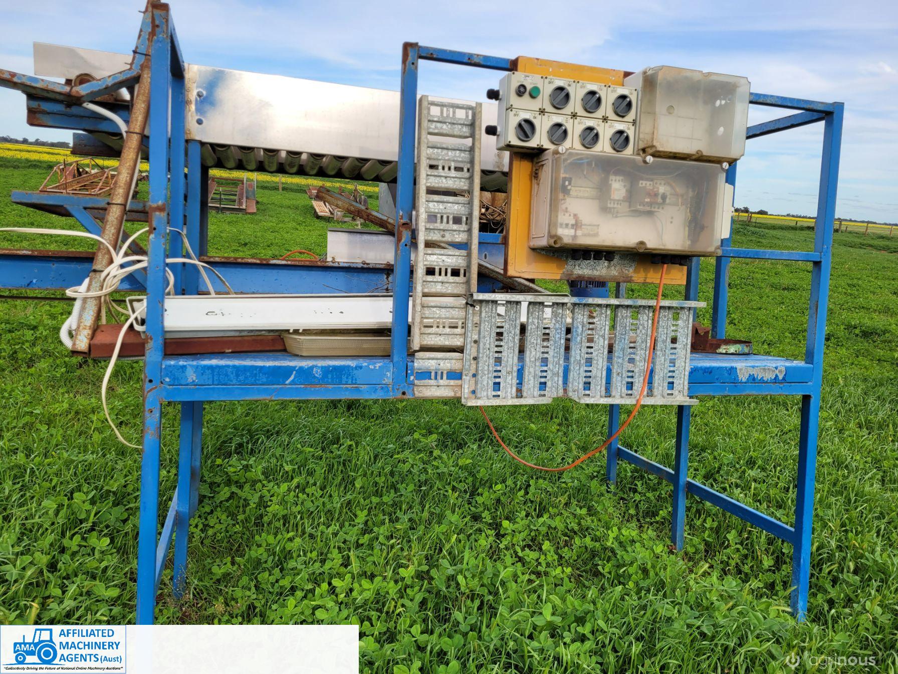 Small Tomato Sorting Table - photo 3
