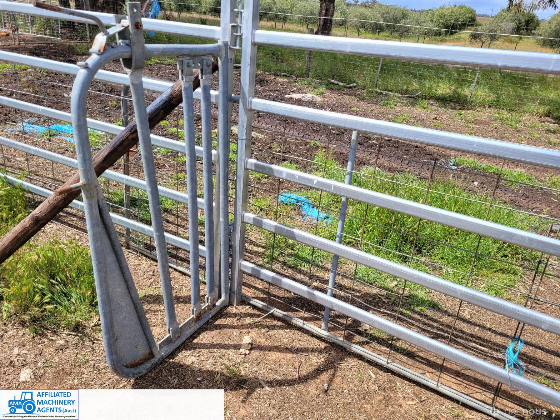 Solid Galv. Cattle Head Bale