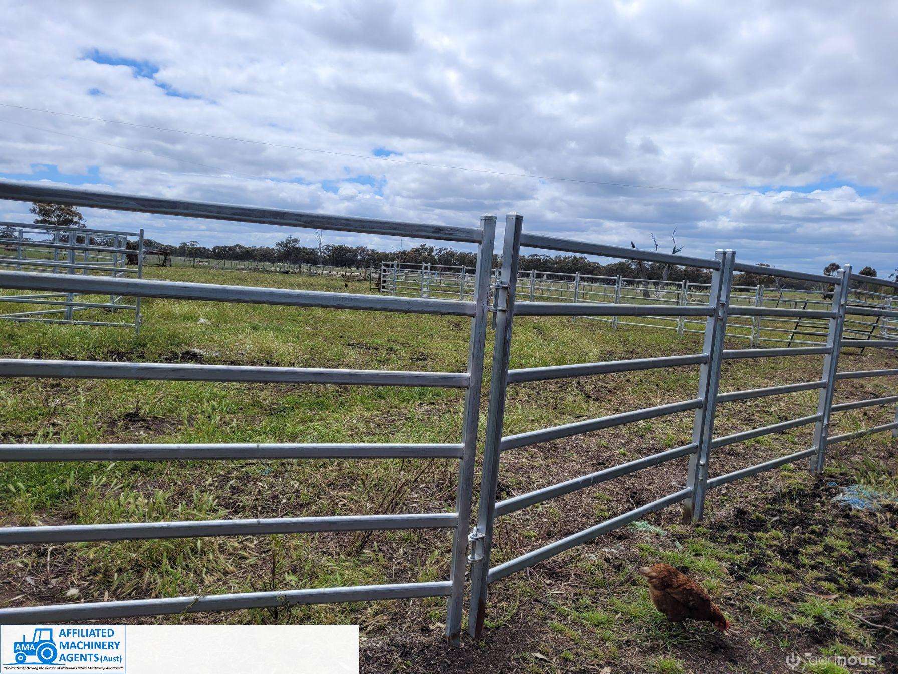 Cattle Panels (x10)