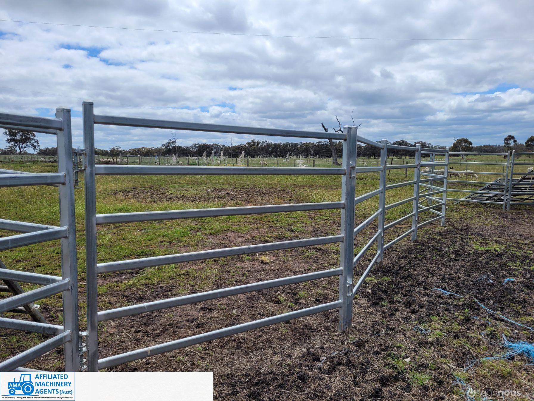 Cattle Panels (x10) - photo 2