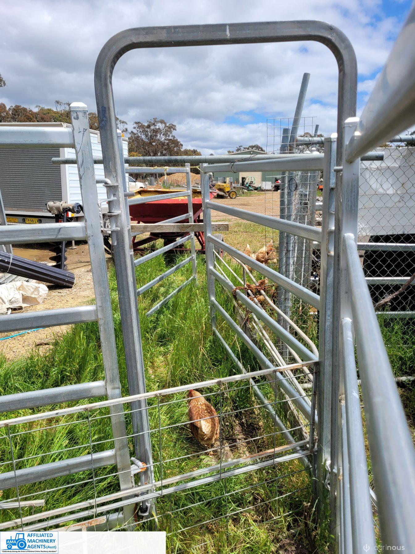 3 x Cattle Race Dividers - photo 2