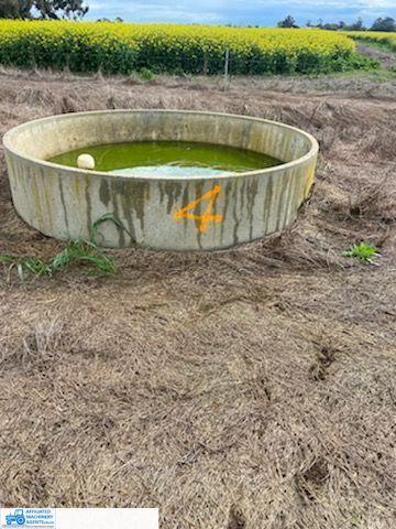 Round Stock Trough (No. 4) - photo 2