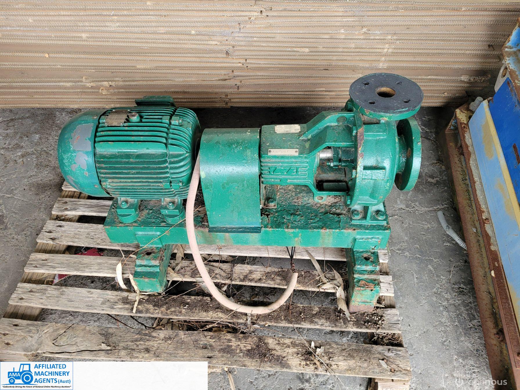 Kelly & Lewis Pump
