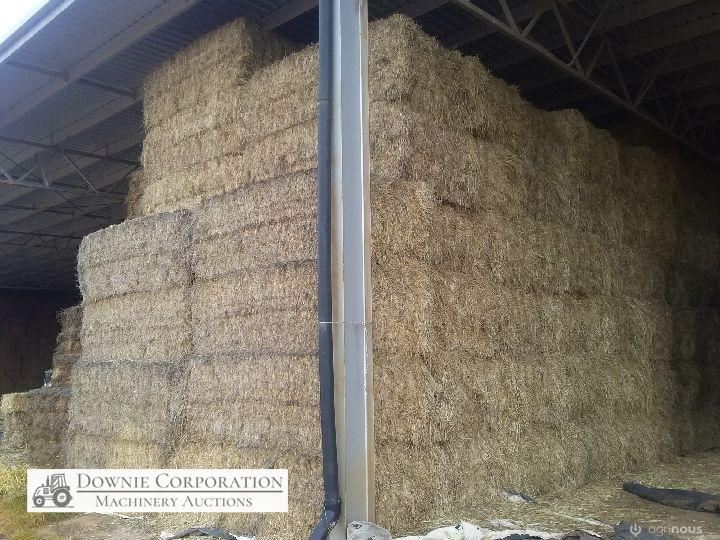 40 Big Squares Quality Pasture Hay