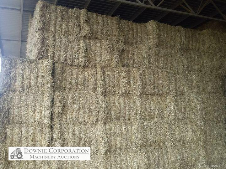 64 Big Squares Quality Pasture Hay