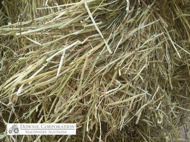 80 Big Squares Quality Pasture Hay - photo 4