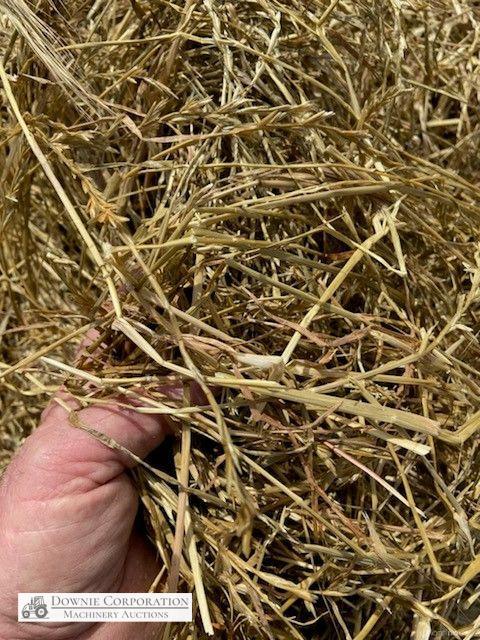 40 Rolls of Silage (4ft x 4ft) - photo 7