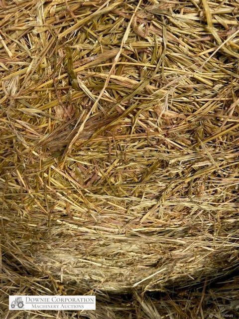 40 Rolls of Silage (4ft x 4ft) - photo 5