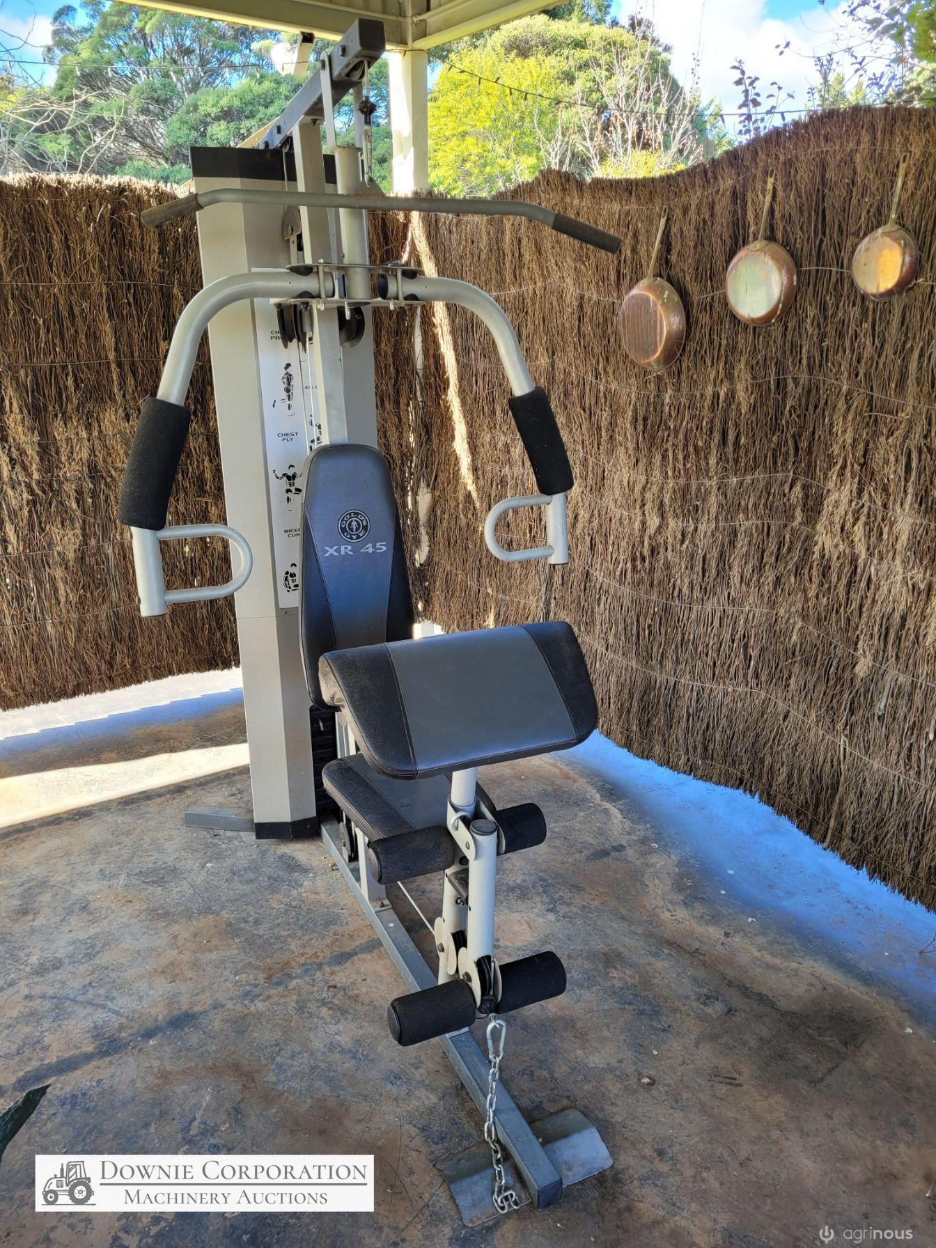 Gold XR45 Weights Gym - photo 2