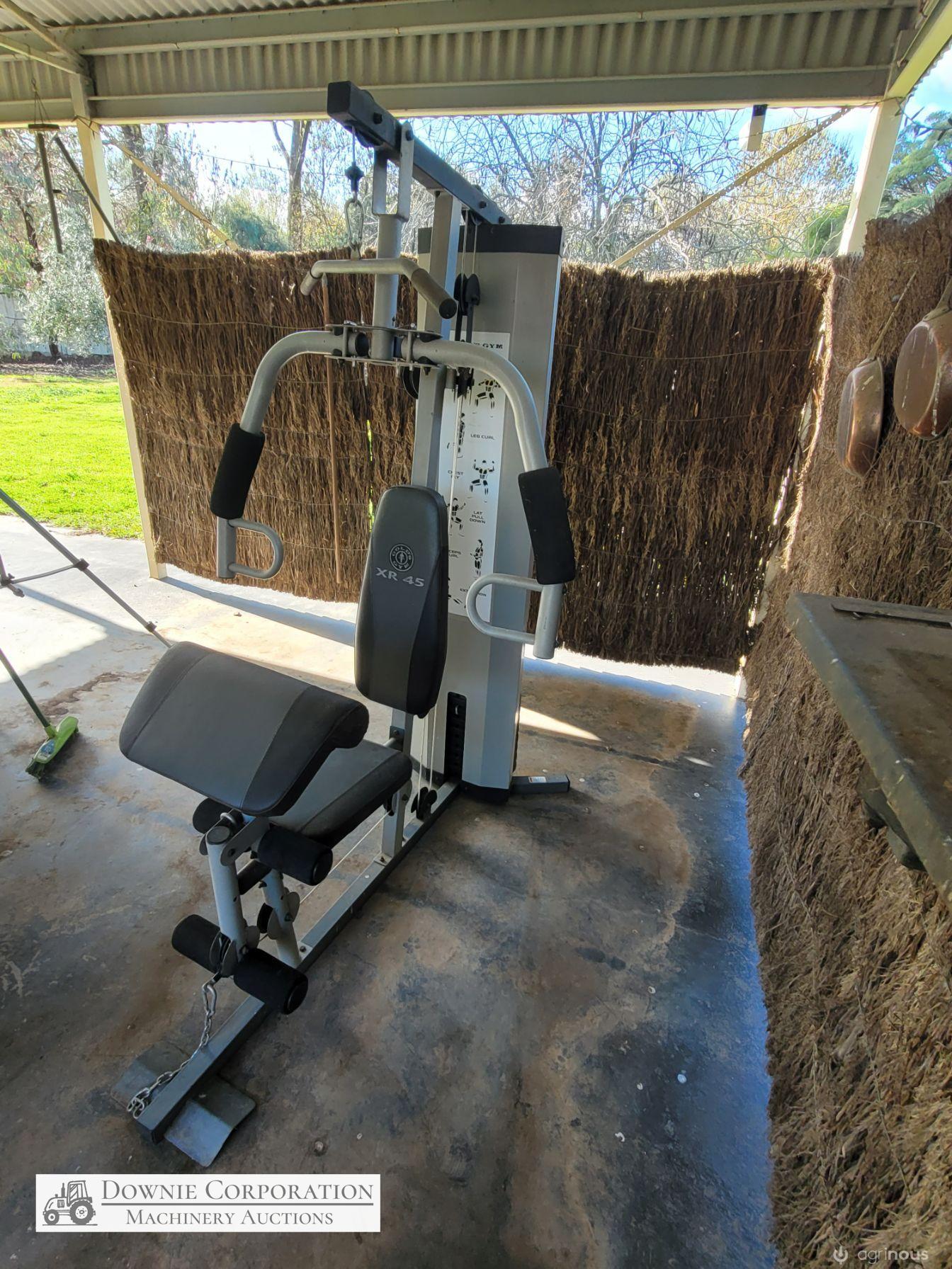 Gold XR45 Weights Gym