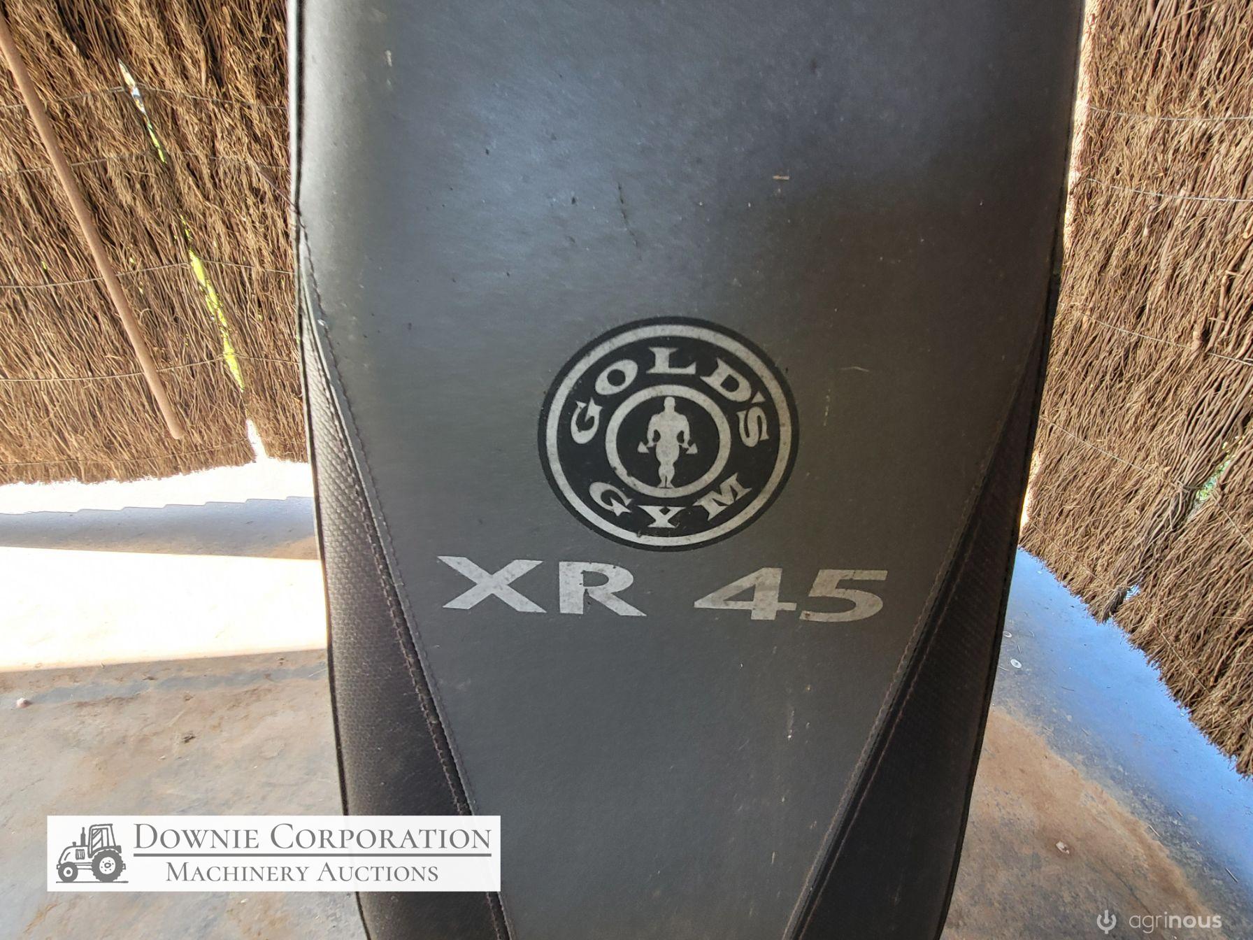 Gold XR45 Weights Gym - photo 7