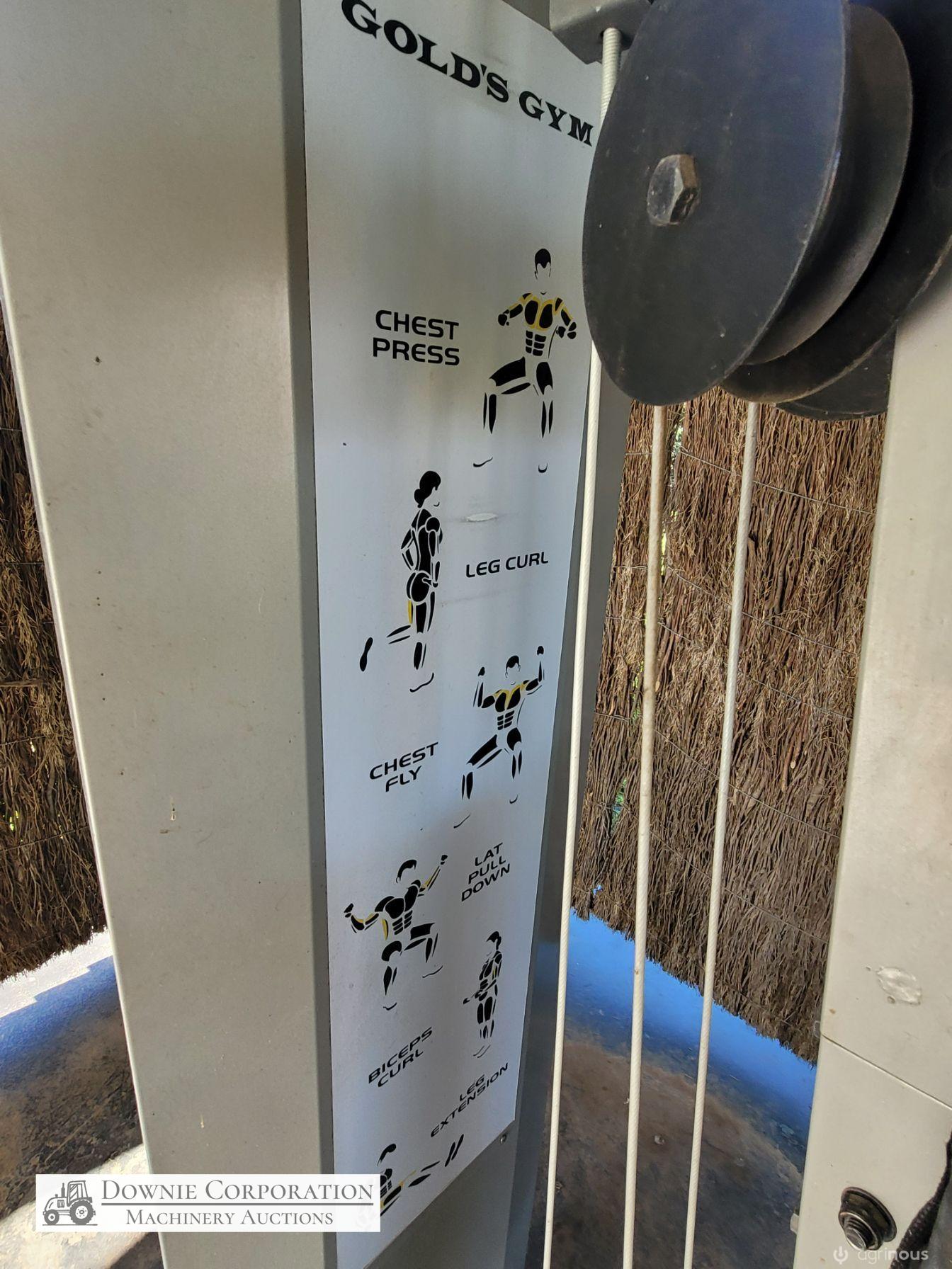 Gold XR45 Weights Gym - photo 5