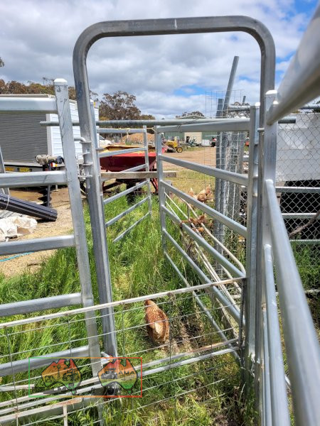 2x Cattle Yard Man Gates (New Un-used) - photo 3